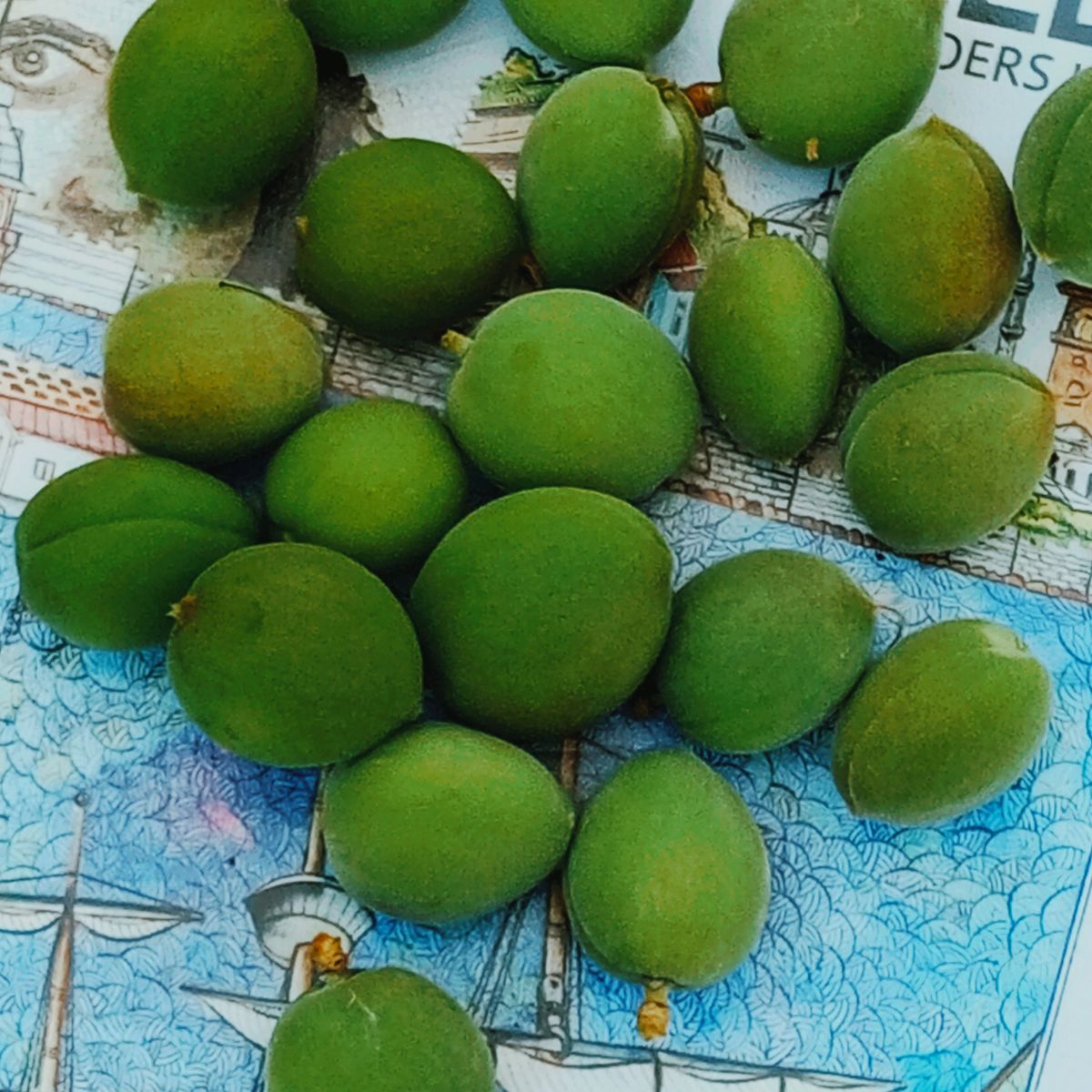 Gönderi görseli