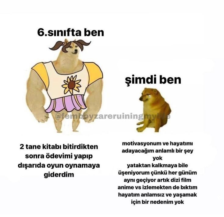 Gönderi görseli