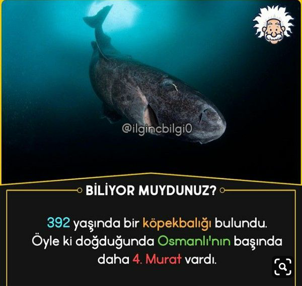Gönderi görseli