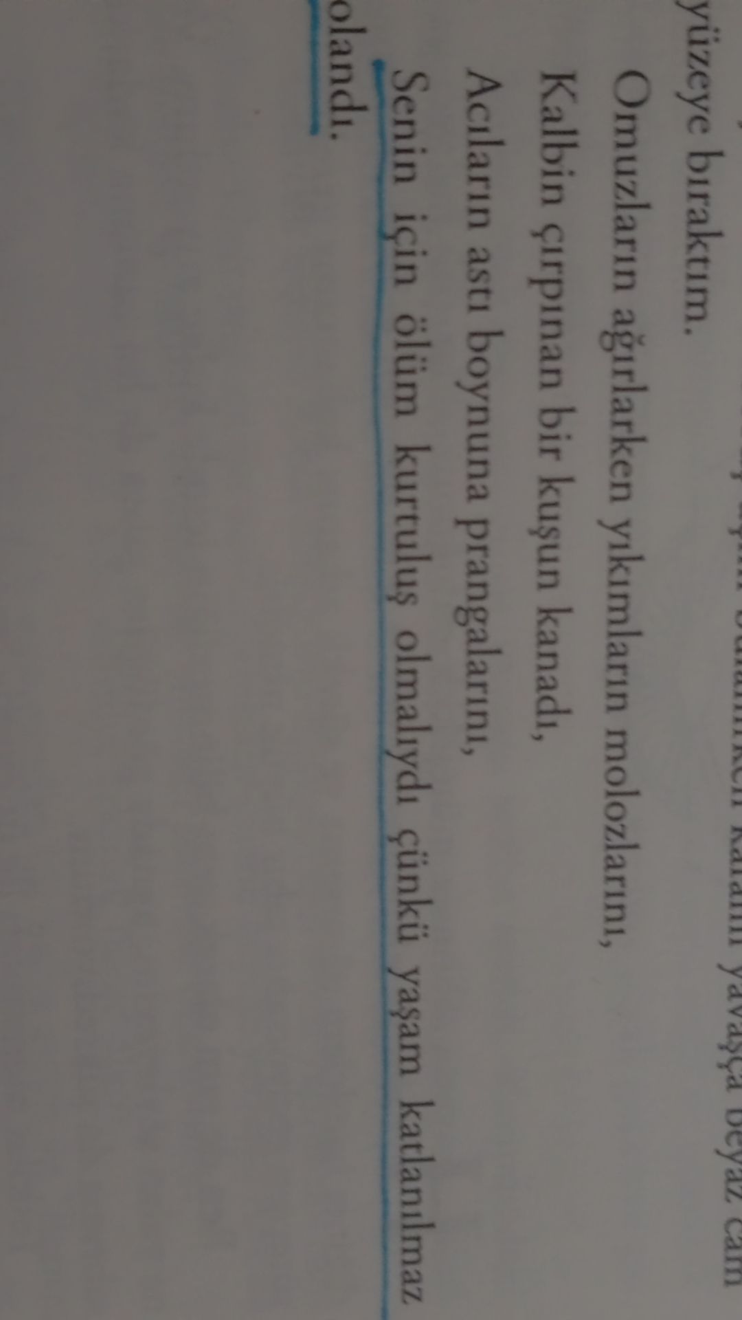 Gönderi görseli