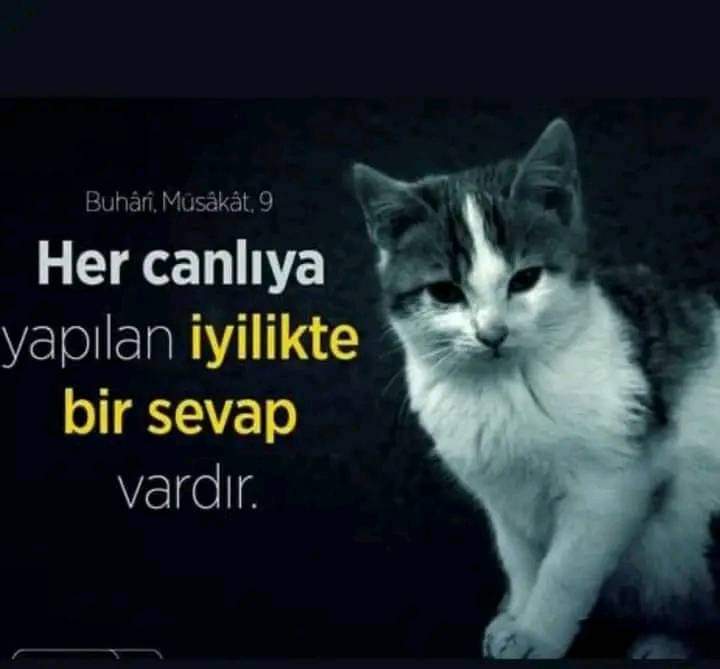 Gönderi görseli