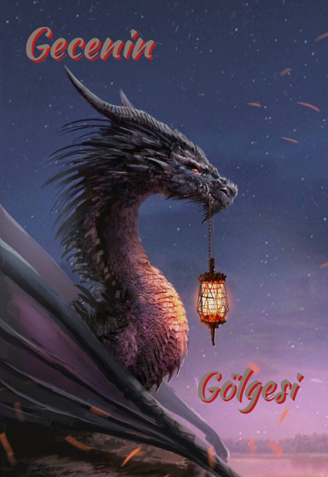 Gönderi görseli