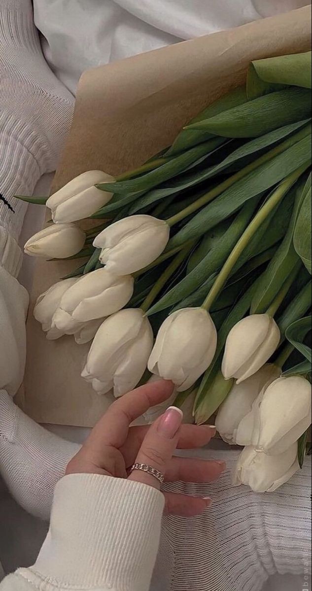صورة المنشور