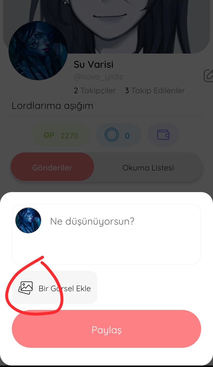 Gönderi görseli