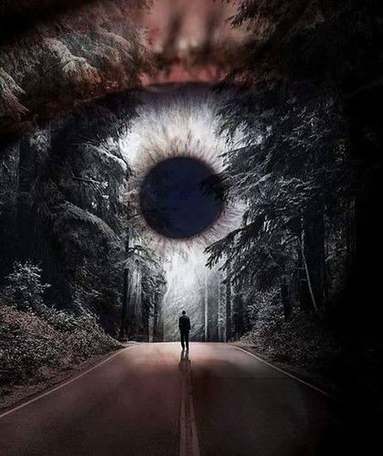 صورة المنشور