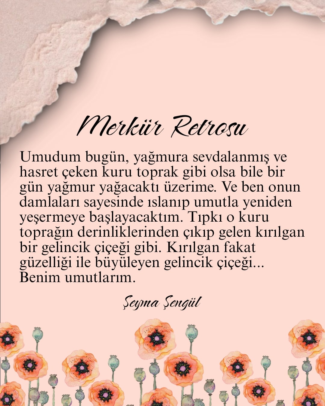 Gönderi görseli
