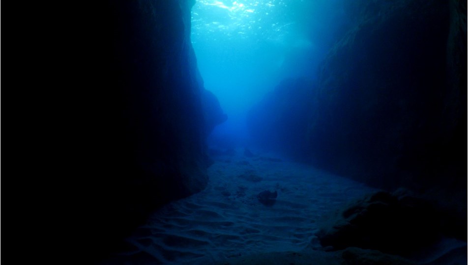 صورة المنشور