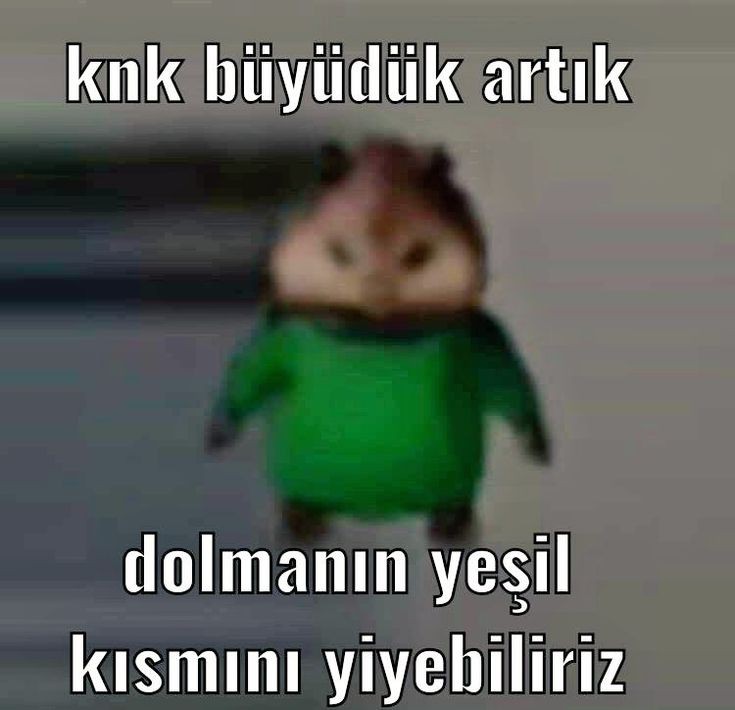 Gönderi görseli