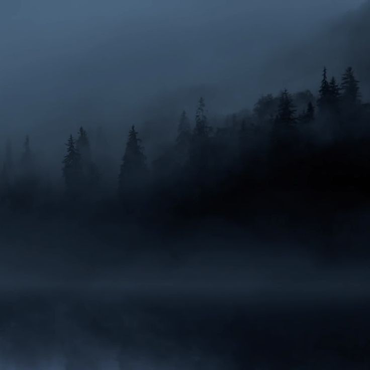 صورة المنشور