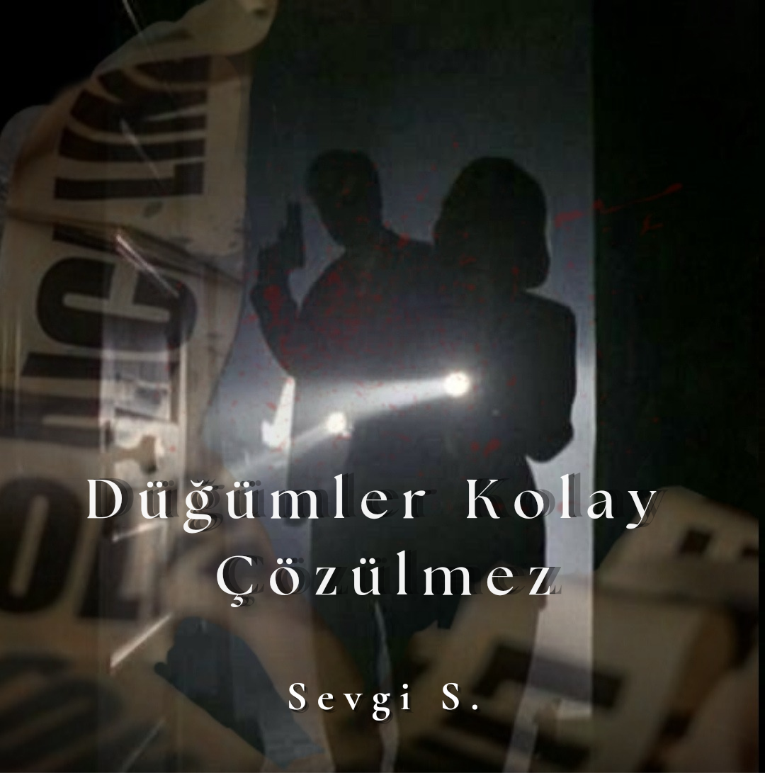 Gönderi görseli