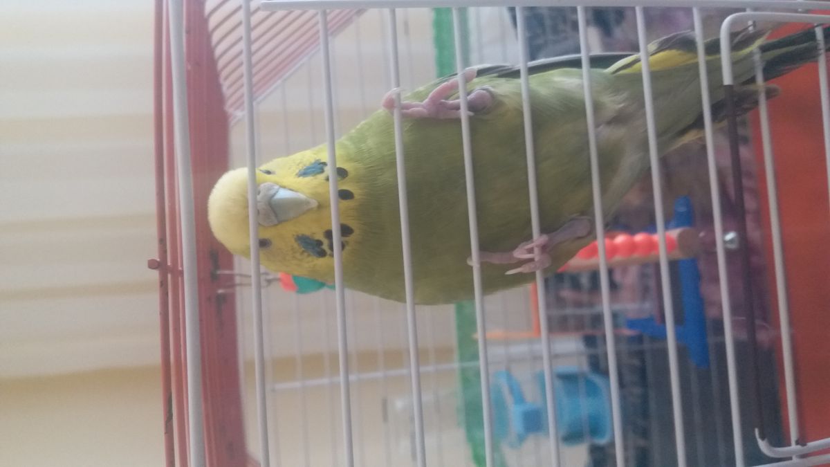 Gönderi görseli