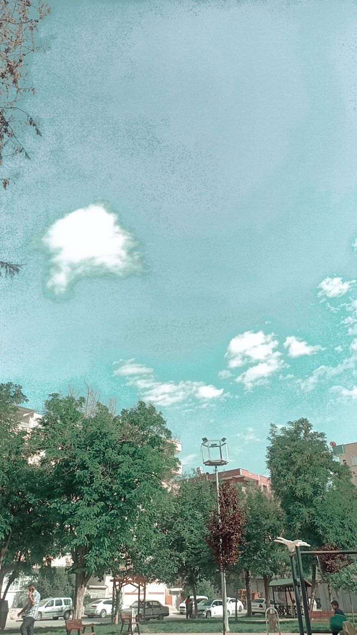 صورة المنشور