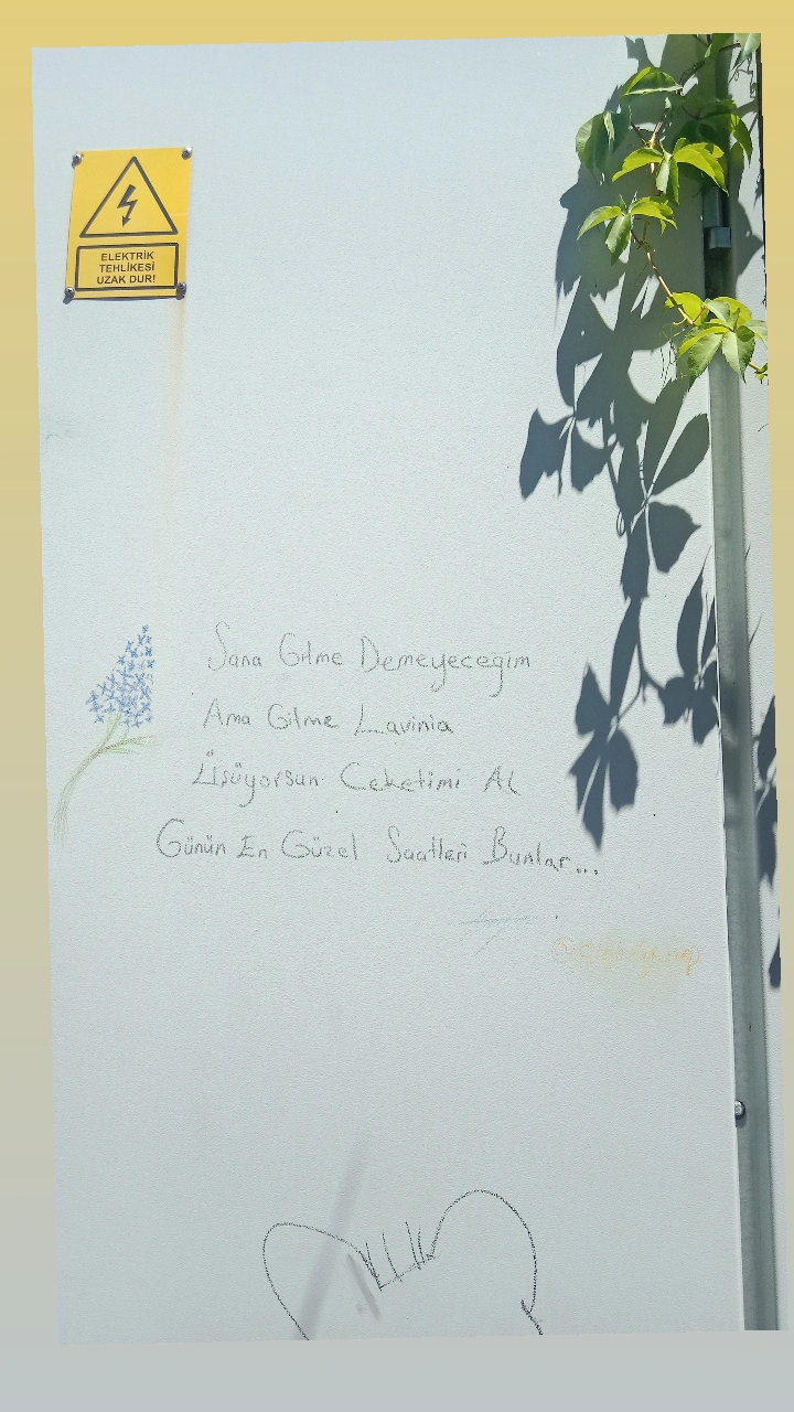 Gönderi görseli