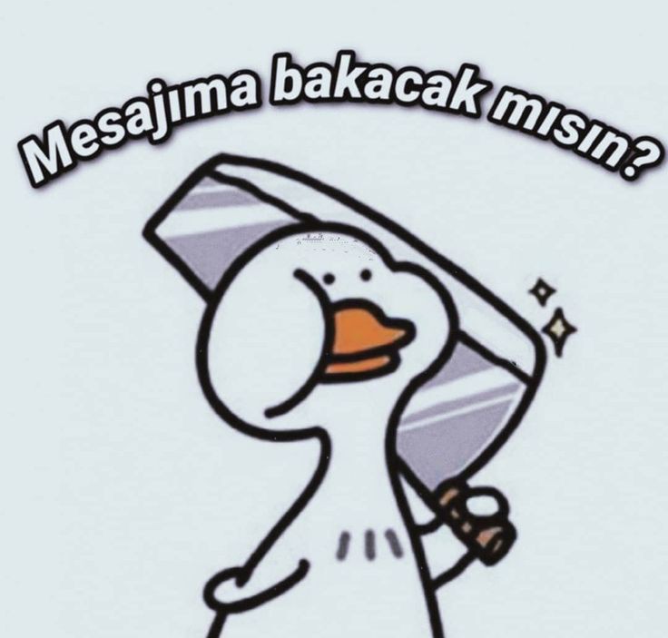 Gönderi görseli