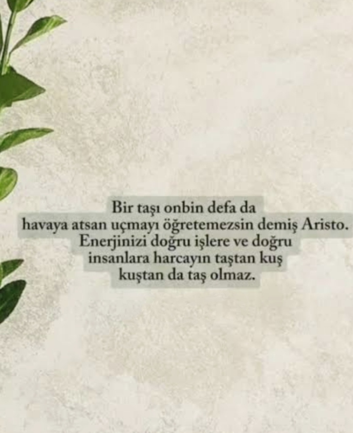 Gönderi görseli