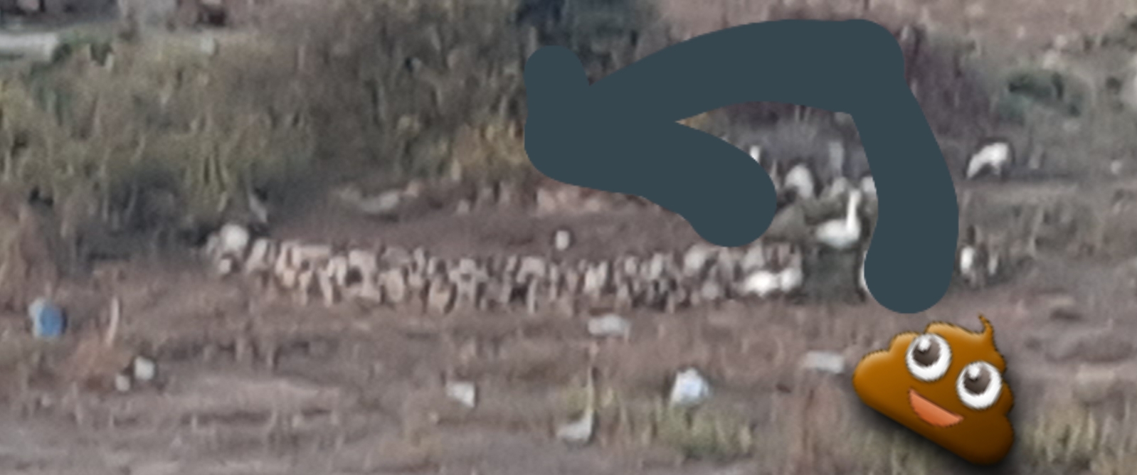 Gönderi görseli
