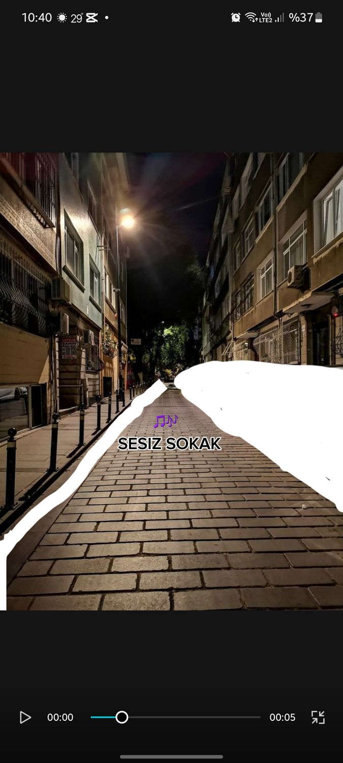 صورة المنشور
