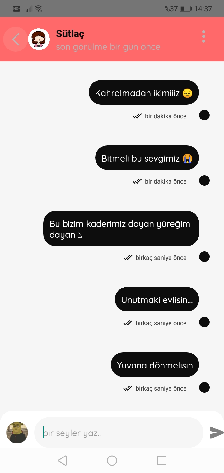 Gönderi görseli