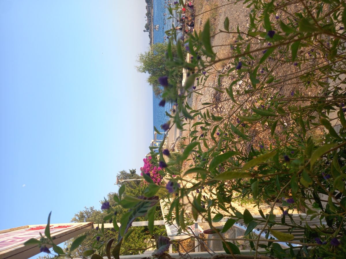 Gönderi görseli