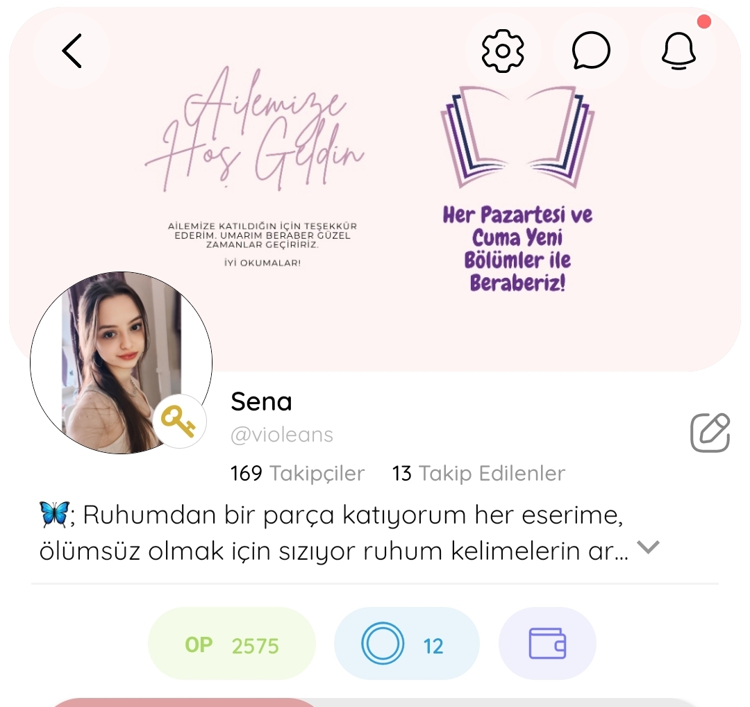 Gönderi görseli