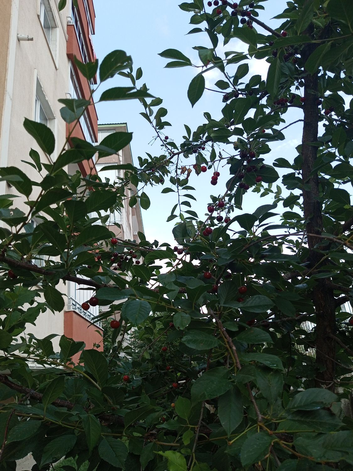 Gönderi görseli