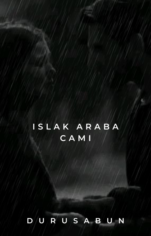 صورة المنشور