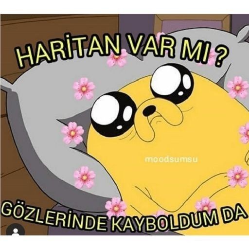 Gönderi görseli