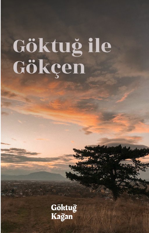 Gönderi görseli