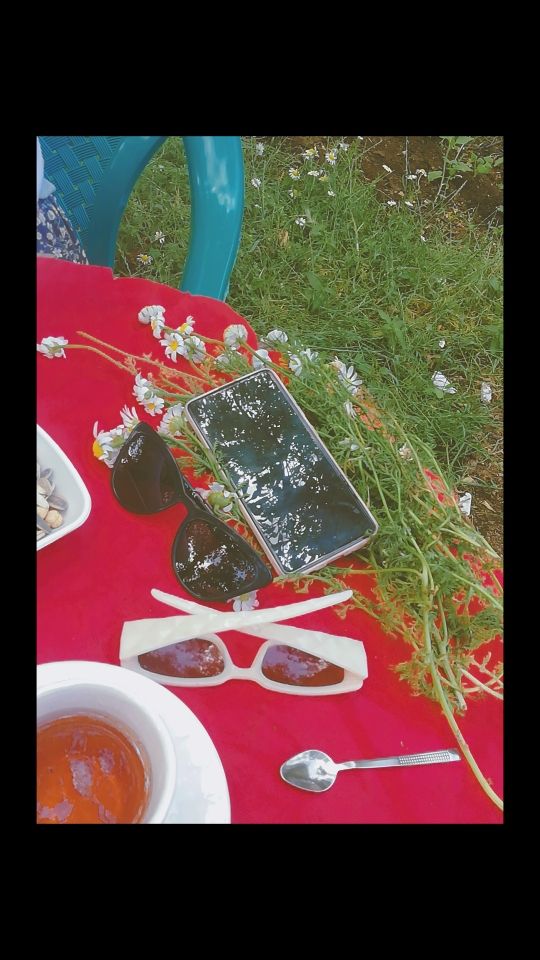 صورة المنشور