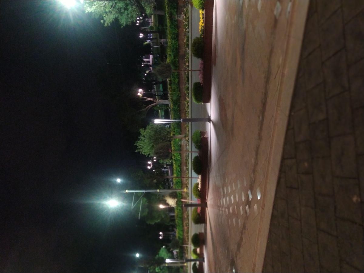 صورة المنشور