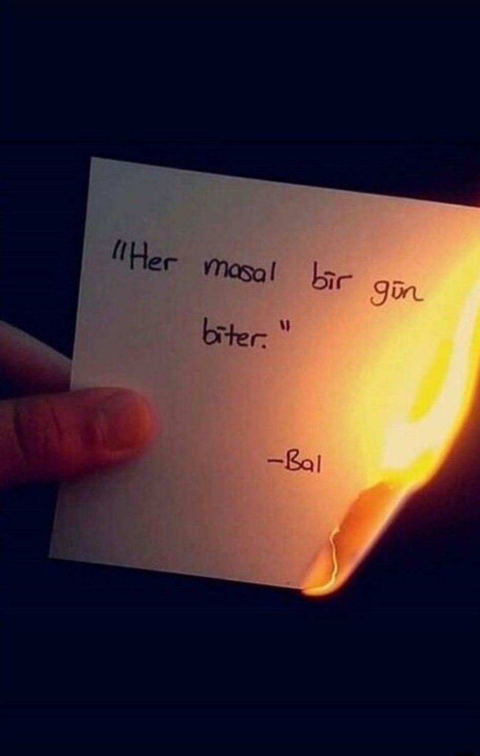 صورة المنشور