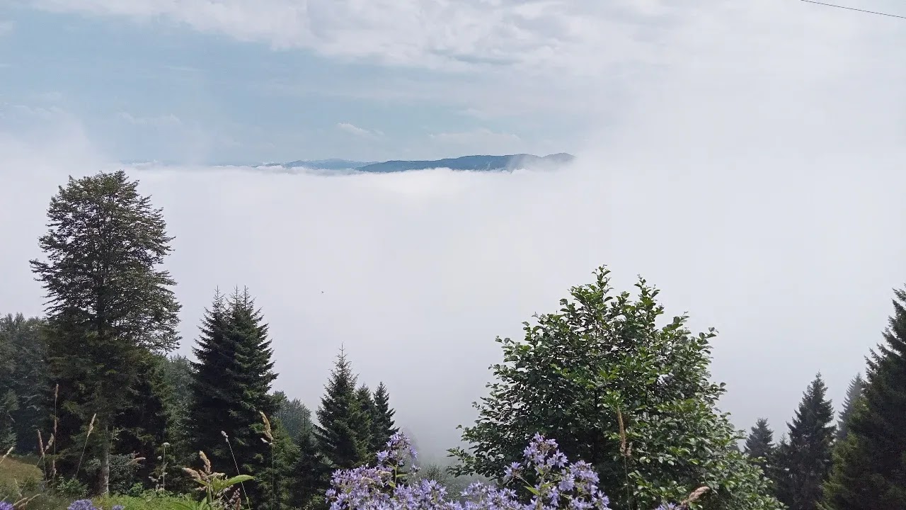 Gönderi görseli