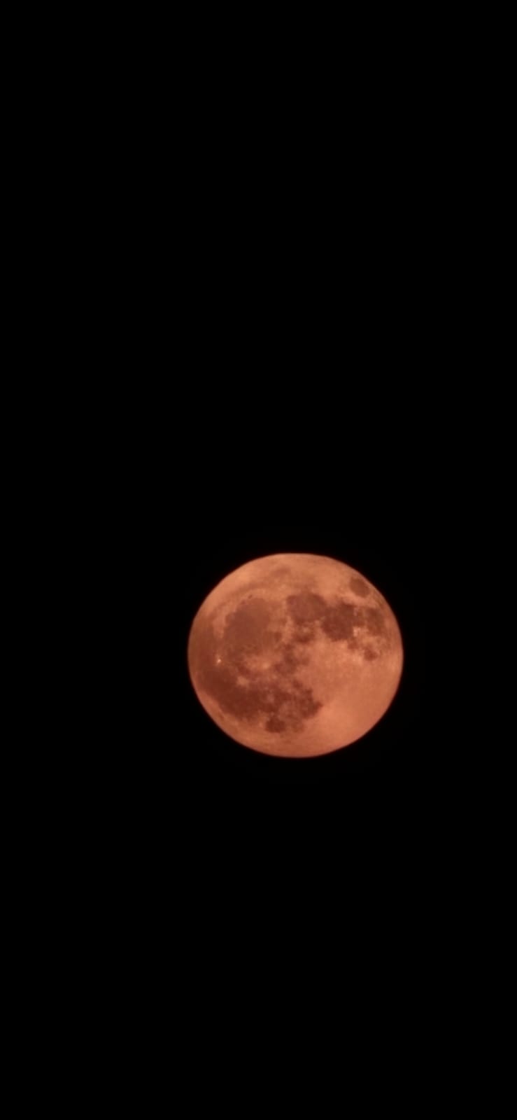 صورة المنشور