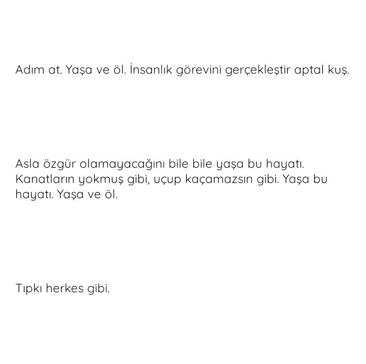 Gönderi görseli