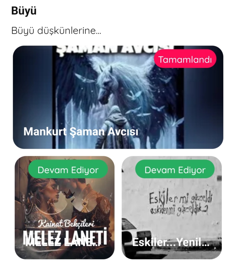 Gönderi görseli