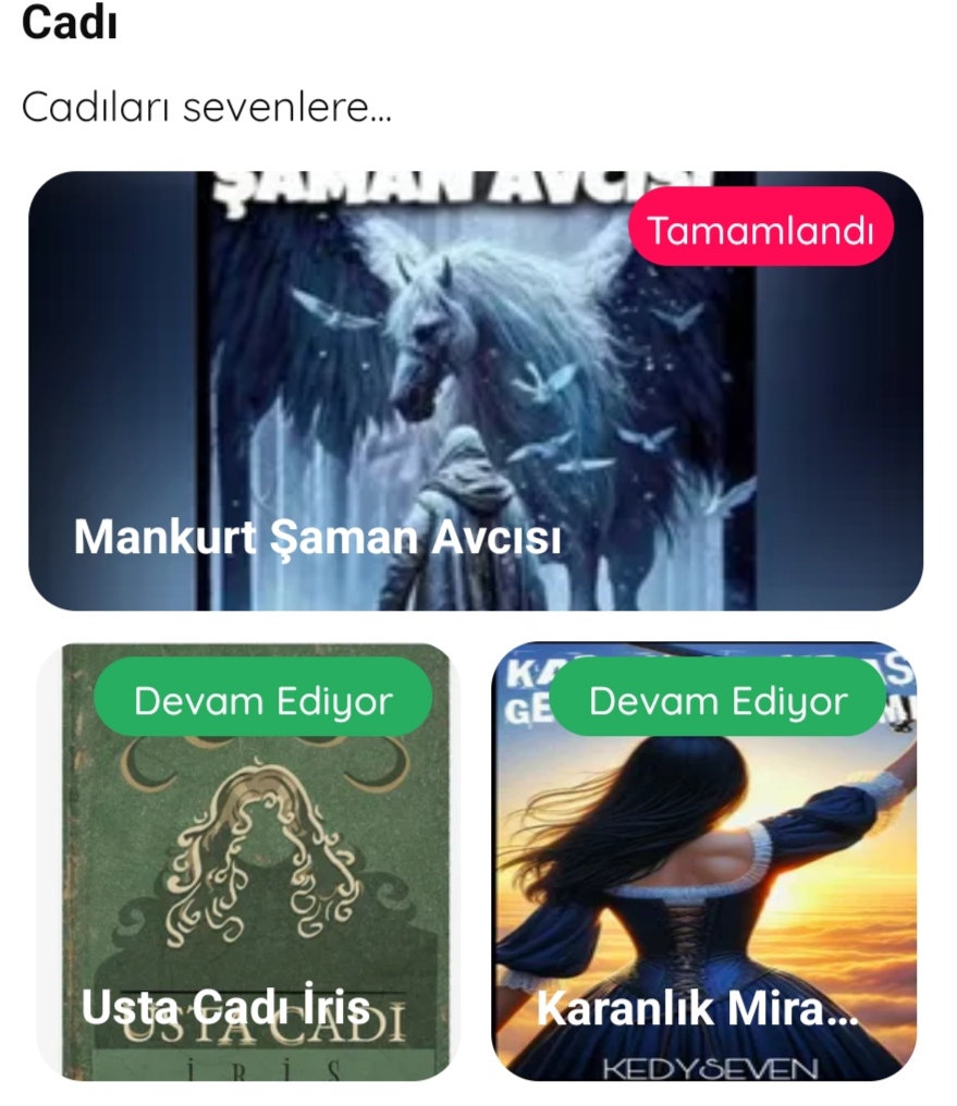 Gönderi görseli
