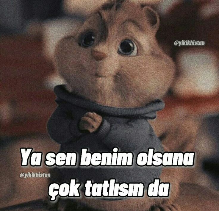 Gönderi görseli