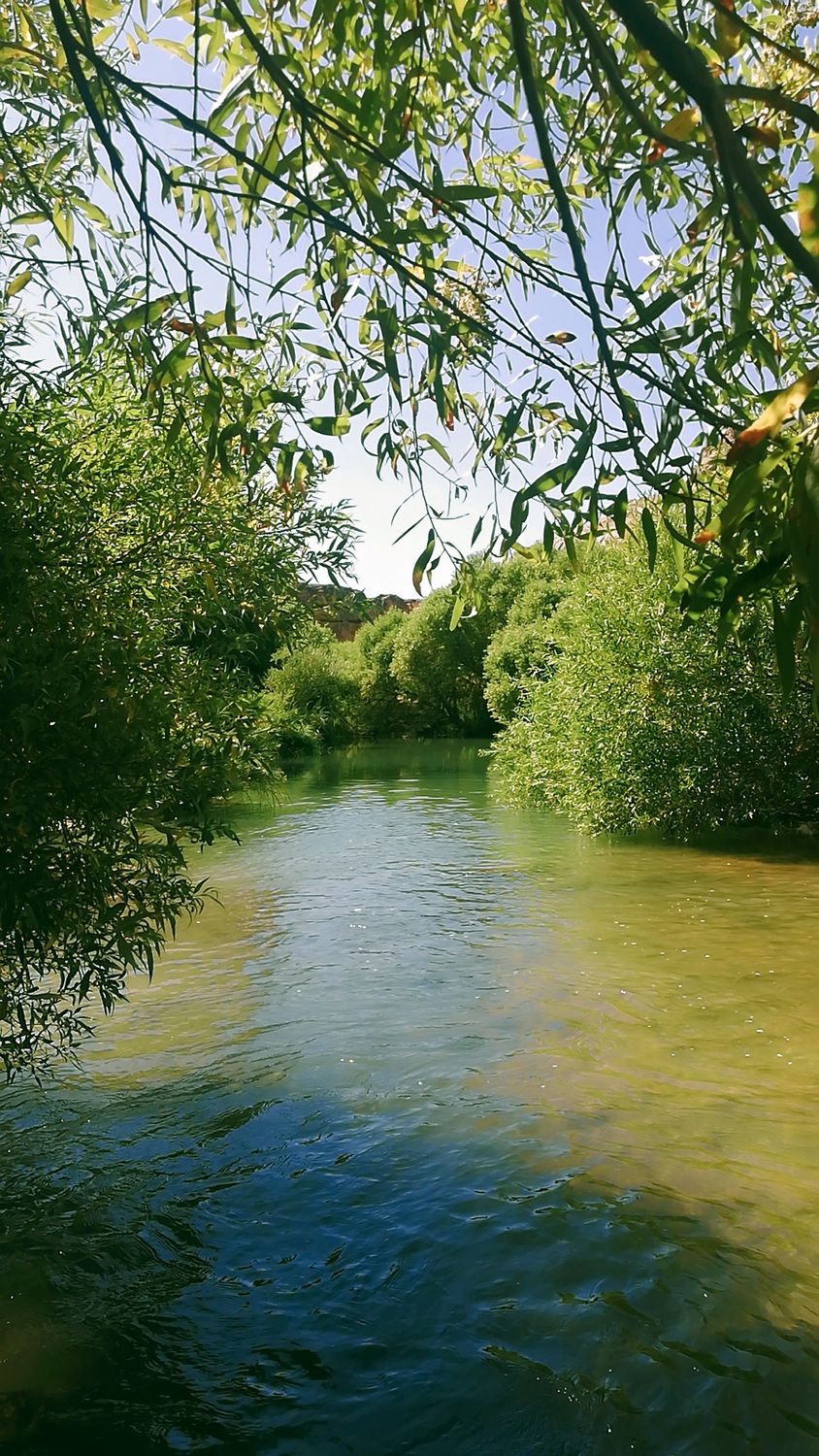 Gönderi görseli