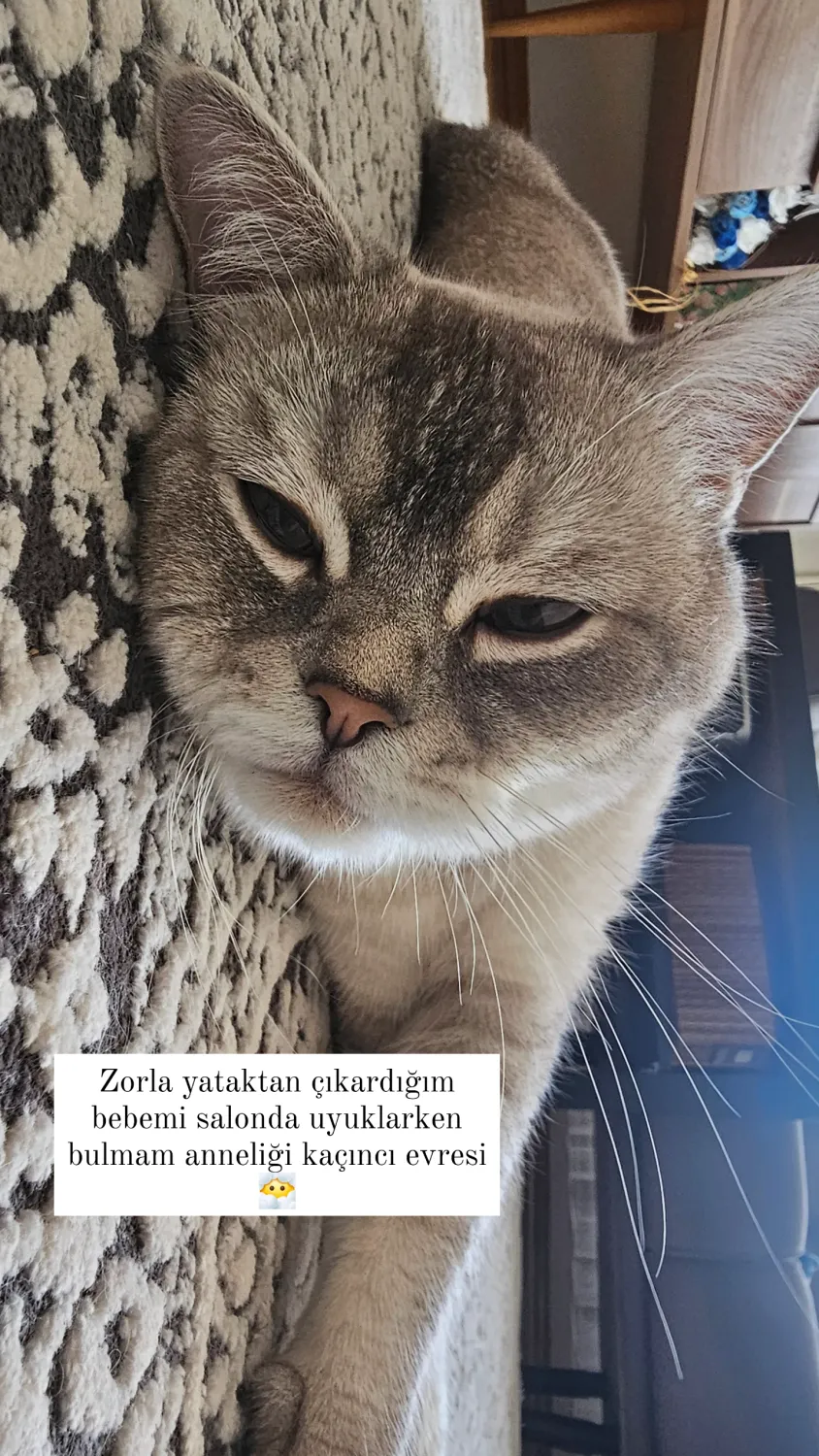 Gönderi görseli