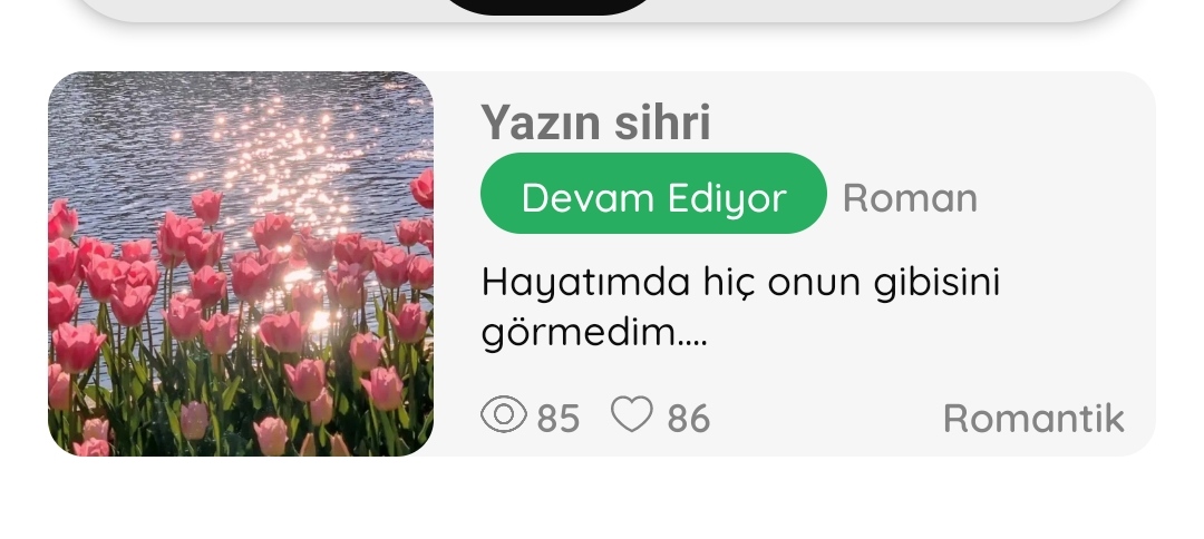 Gönderi görseli