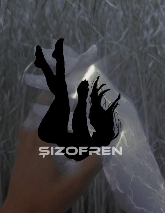 Gönderi görseli