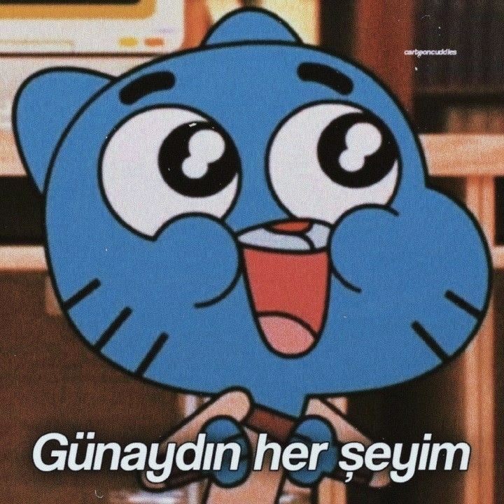Gönderi görseli