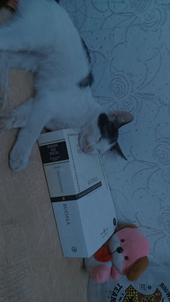 Gönderi görseli