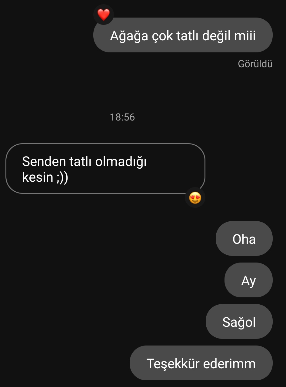 Gönderi görseli