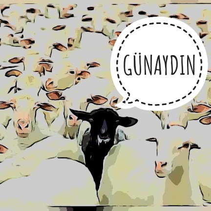 Gönderi görseli