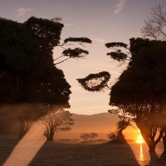 صورة المنشور