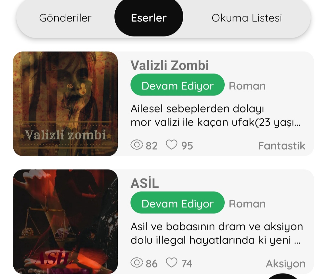 Gönderi görseli