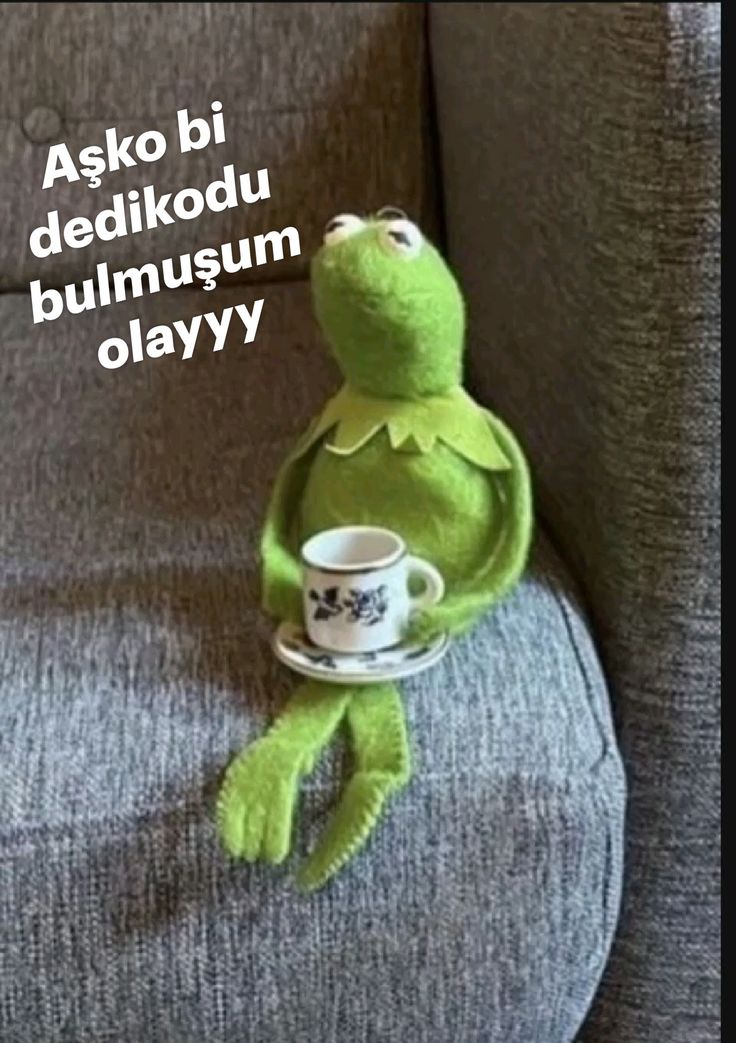 Gönderi görseli