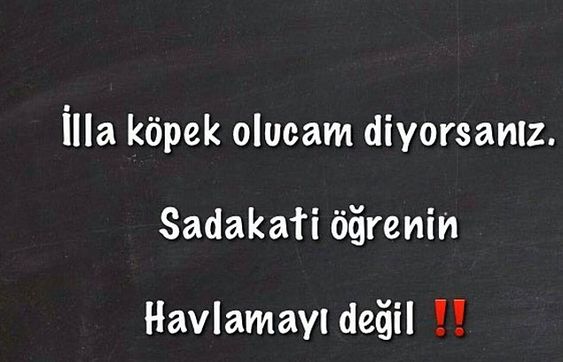 Gönderi görseli