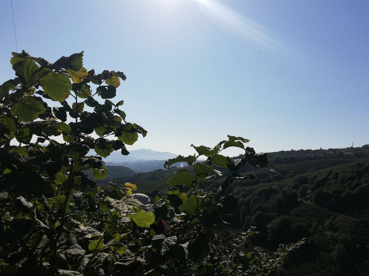 Gönderi görseli